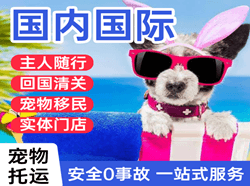 秦皇岛北戴河航空快运国际宠物托运 【国